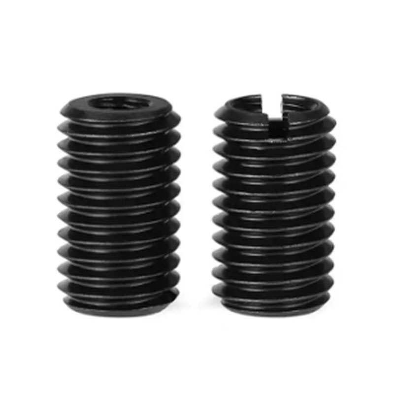 Carbon Steel Internum-externum Thread Conversio Nut